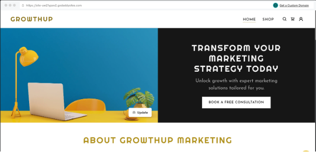 GoDaddy AI Website Builder Example Website